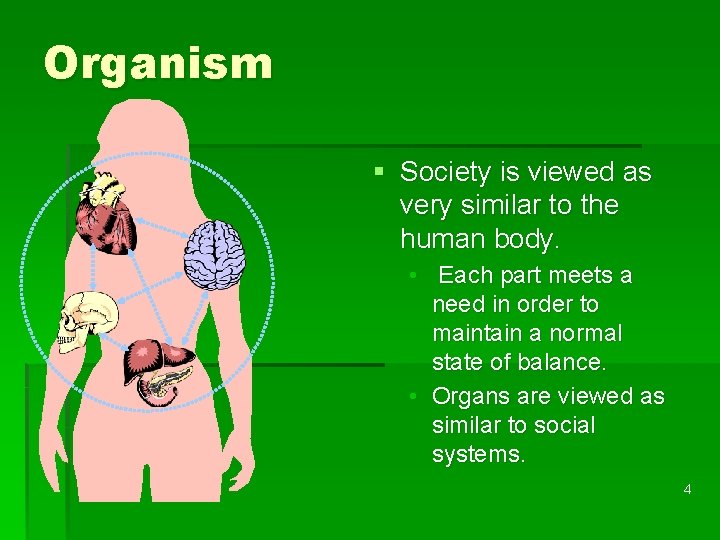 Organism § Society is viewed as very similar to the human body. • Each