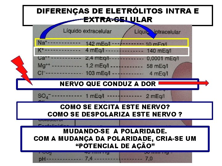 DIFERENÇAS DE ELETRÓLITOS INTRA E EXTRA-CELULAR NERVO QUE CONDUZ A DOR COMO SE EXCITA