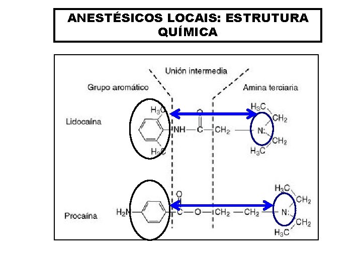 ANESTÉSICOS LOCAIS: ESTRUTURA QUÍMICA 