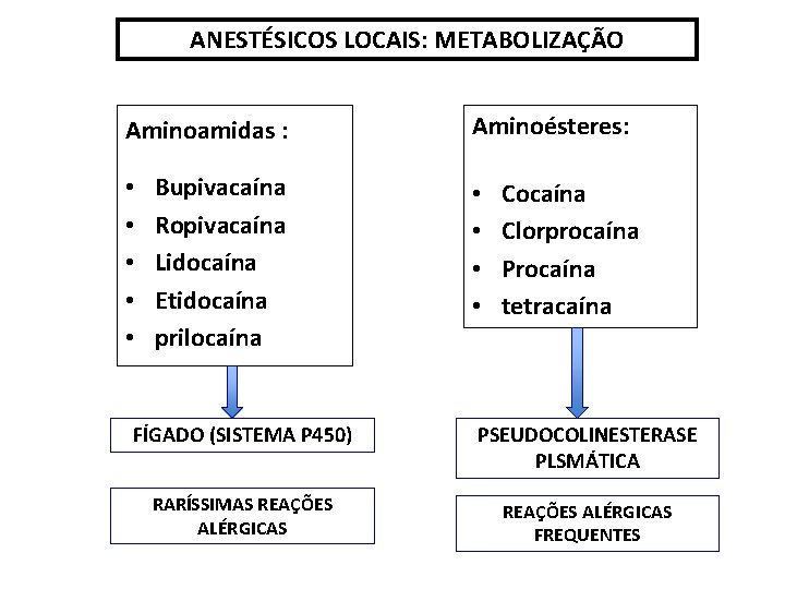 ANESTÉSICOS LOCAIS: METABOLIZAÇÃO Aminoamidas : • • • Bupivacaína Ropivacaína Lidocaína Etidocaína prilocaína Aminoésteres: