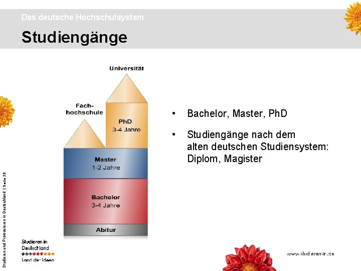 Das deutsche Hochschulsystem Studieren und Promovieren in Deutschland | Seite 20 Studiengänge • Bachelor,