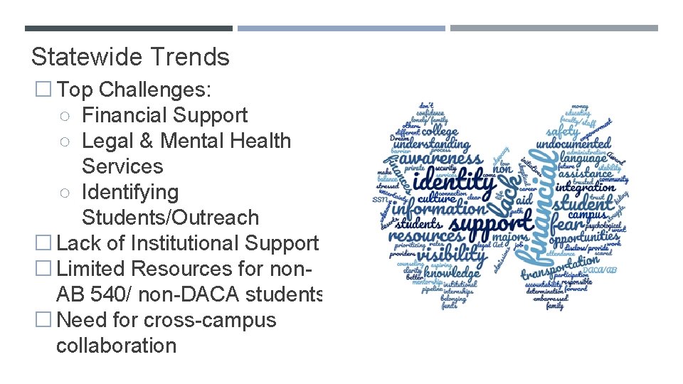 Statewide Trends �Top Challenges: ○ Financial Support ○ Legal & Mental Health Services ○