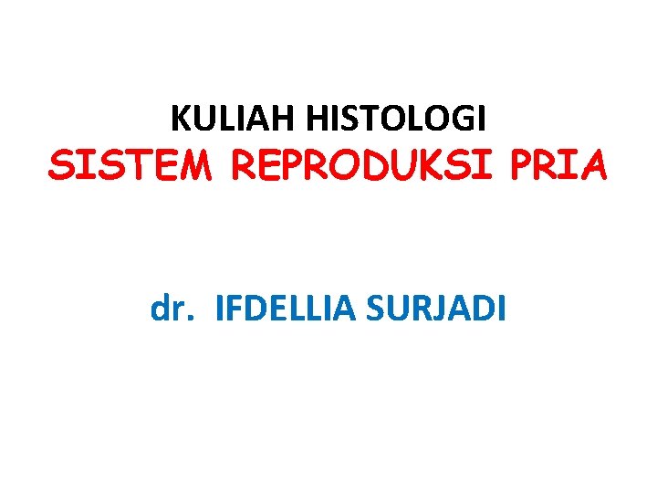 KULIAH HISTOLOGI SISTEM REPRODUKSI PRIA dr. IFDELLIA SURJADI KULIAH HISTOLOGI SISTEM REPRODUKSI PRIA dr. IFDELLIA SURJADI