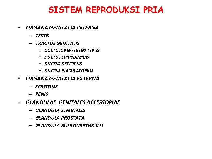 SISTEM REPRODUKSI PRIA • ORGANA GENITALIA INTERNA – TESTIS – TRACTUS GENITALIS • • SISTEM REPRODUKSI PRIA • ORGANA GENITALIA INTERNA – TESTIS – TRACTUS GENITALIS • •