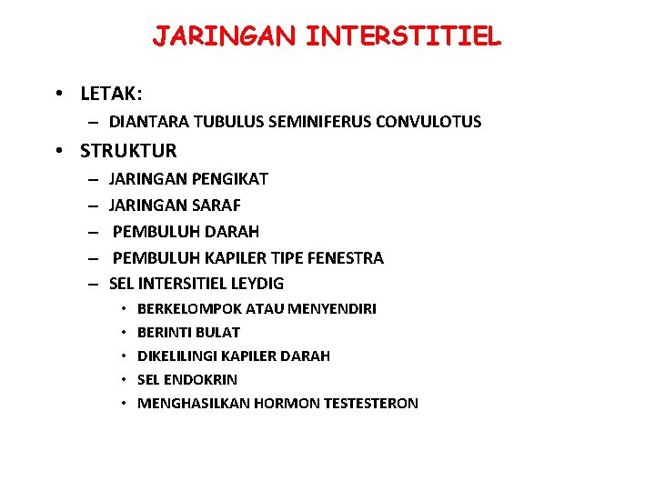JARINGAN INTERSTITIEL • LETAK: – DIANTARA TUBULUS SEMINIFERUS CONVULOTUS • STRUKTUR – – – JARINGAN INTERSTITIEL • LETAK: – DIANTARA TUBULUS SEMINIFERUS CONVULOTUS • STRUKTUR – – –