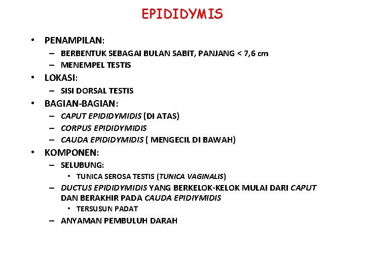 EPIDIDYMIS • PENAMPILAN: – BERBENTUK SEBAGAI BULAN SABIT, PANJANG < 7, 6 cm – EPIDIDYMIS • PENAMPILAN: – BERBENTUK SEBAGAI BULAN SABIT, PANJANG < 7, 6 cm –