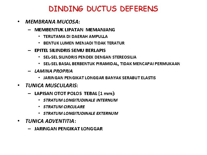 DINDING DUCTUS DEFERENS • MEMBRANA MUCOSA: – MEMBENTUK LIPATAN MEMANJANG • TERUTAMA DI DAERAH DINDING DUCTUS DEFERENS • MEMBRANA MUCOSA: – MEMBENTUK LIPATAN MEMANJANG • TERUTAMA DI DAERAH