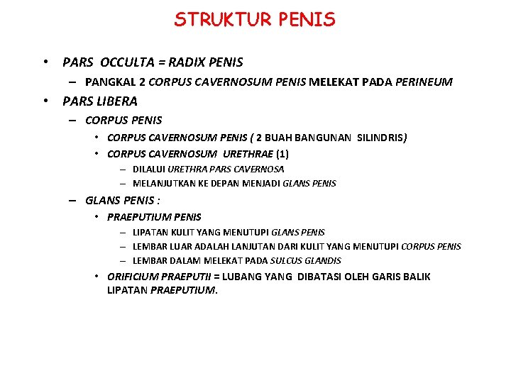 STRUKTUR PENIS • PARS OCCULTA = RADIX PENIS – PANGKAL 2 CORPUS CAVERNOSUM PENIS STRUKTUR PENIS • PARS OCCULTA = RADIX PENIS – PANGKAL 2 CORPUS CAVERNOSUM PENIS