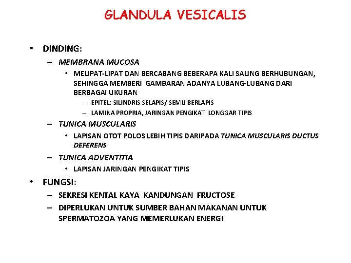 GLANDULA VESICALIS • DINDING: – MEMBRANA MUCOSA • MELIPAT-LIPAT DAN BERCABANG BEBERAPA KALI SALING GLANDULA VESICALIS • DINDING: – MEMBRANA MUCOSA • MELIPAT-LIPAT DAN BERCABANG BEBERAPA KALI SALING
