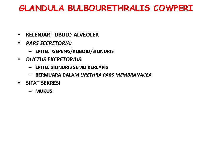 GLANDULA BULBOURETHRALIS COWPERI • KELENJAR TUBULO-ALVEOLER • PARS SECRETORIA: – EPITEL: GEPENG/KUBOID/SILINDRIS • DUCTUS GLANDULA BULBOURETHRALIS COWPERI • KELENJAR TUBULO-ALVEOLER • PARS SECRETORIA: – EPITEL: GEPENG/KUBOID/SILINDRIS • DUCTUS