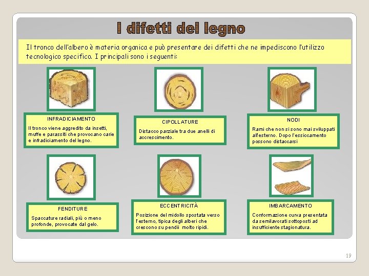 Il tronco dell’albero è materia organica e può presentare dei difetti che ne impediscono