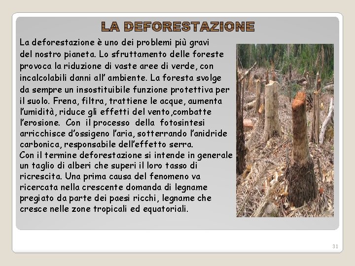 La deforestazione è uno dei problemi più gravi del nostro pianeta. Lo sfruttamento delle