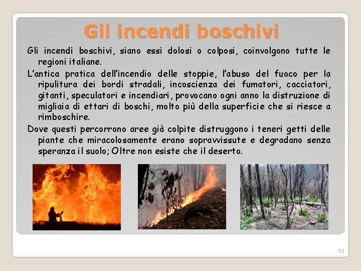Gli incendi boschivi, siano essi dolosi o colposi, coinvolgono tutte le regioni italiane. L’antica
