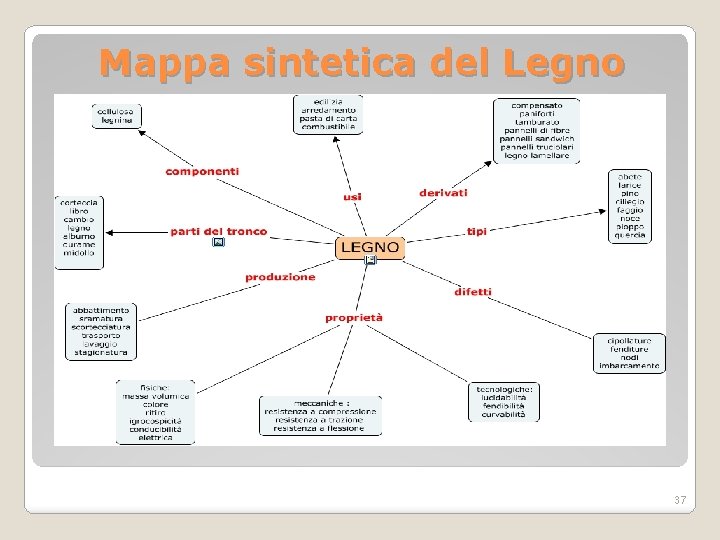 Mappa sintetica del Legno 37 