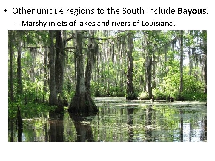  • Other unique regions to the South include Bayous. – Marshy inlets of