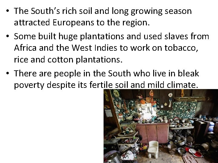  • The South’s rich soil and long growing season attracted Europeans to the