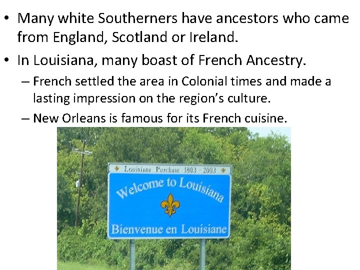  • Many white Southerners have ancestors who came from England, Scotland or Ireland.