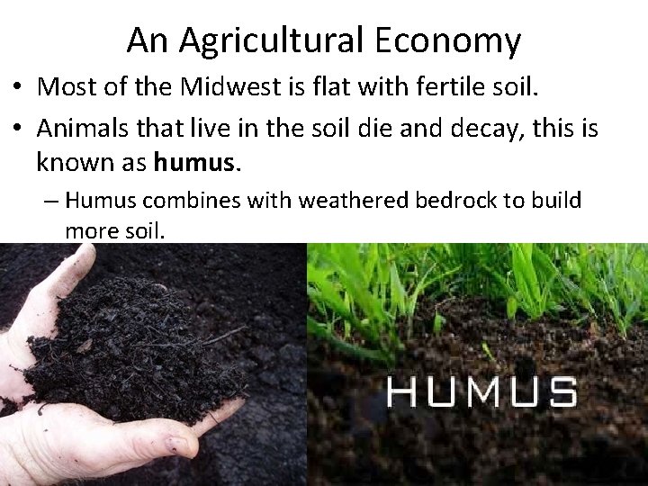 An Agricultural Economy • Most of the Midwest is flat with fertile soil. •