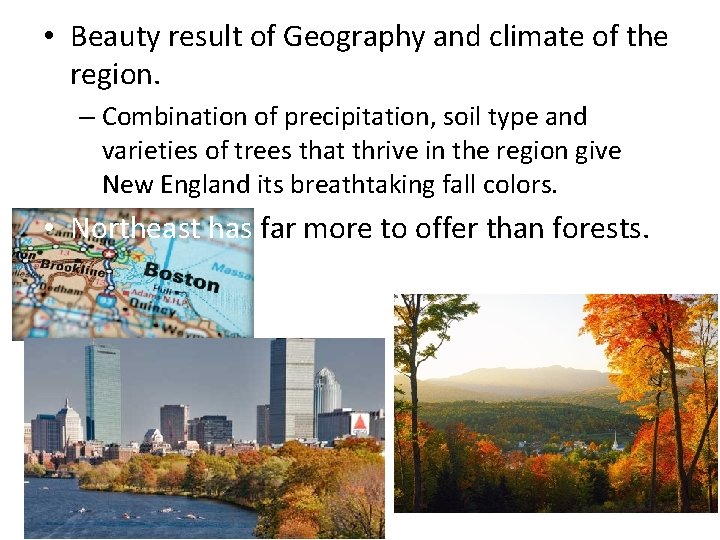  • Beauty result of Geography and climate of the region. – Combination of