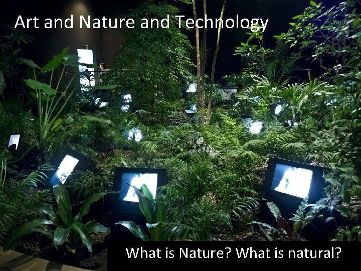 Art and Nature and Technology What is Nature? What is natural? 