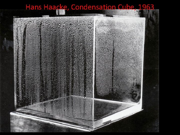 Hans Haacke, Condensation Cube, 1963 