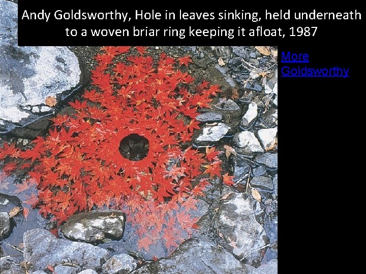 Andy Goldsworthy, Hole in leaves sinking, held underneath to a woven briar ring keeping