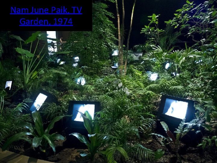 Nam June Paik, TV Garden, 1974 