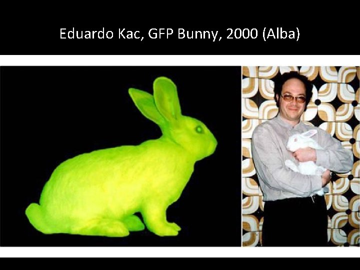 Eduardo Kac, GFP Bunny, 2000 (Alba) 