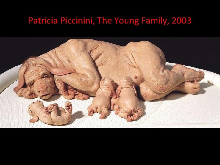 Patricia Piccinini, The Young Family, 2003 