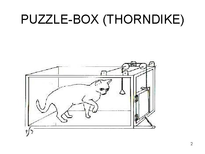 PUZZLE-BOX (THORNDIKE) 2 