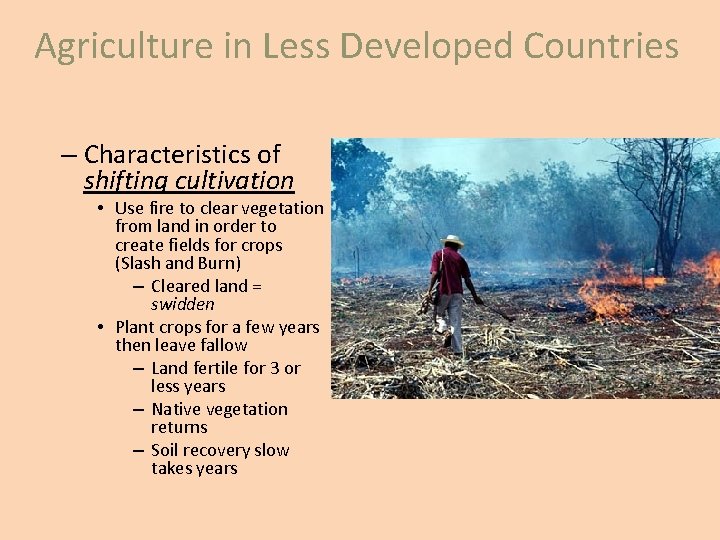 Agriculture in Less Developed Countries – Characteristics of shifting cultivation • Use fire to