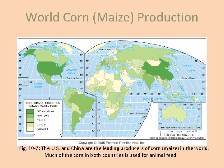 World Corn (Maize) Production Fig. 10 -7: The U. S. and China are the