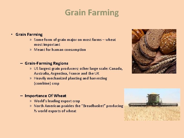 Grain Farming • Grain Farming » Some form of grain major on most farms