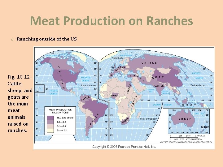 Meat Production on Ranches Ranching outside of the US Fig. 10 -12: Cattle, sheep,