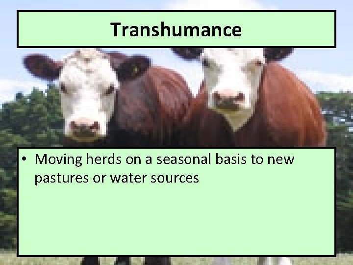 Transhumance • Moving herds on a seasonal basis to new pastures or water sources