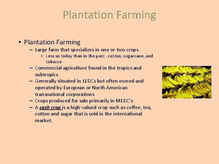 Plantation Farming • Plantation Farming – Large farm that specializes in one or two