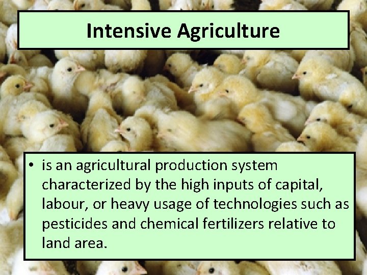 Intensive Agriculture • is an agricultural production system characterized by the high inputs of