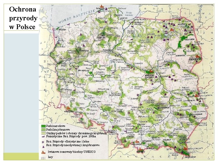 Ochrona przyrody w Polsce Parki narodowe Parki krajobrazowe Otuliny parków i obszary chronionego krajobrazu