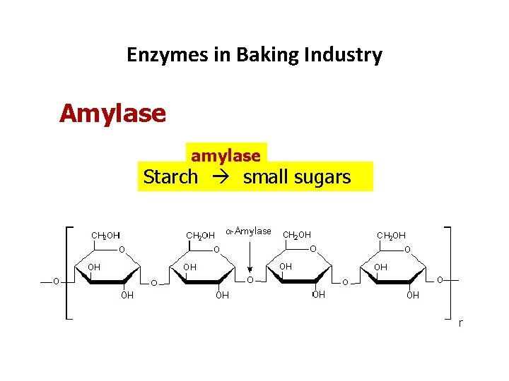 Enzymes in Baking Industry Amylase amylase Starch small sugars 