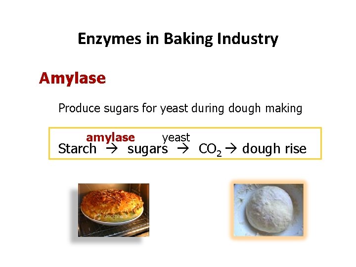 Enzymes in Baking Industry Amylase Produce sugars for yeast during dough making amylase yeast