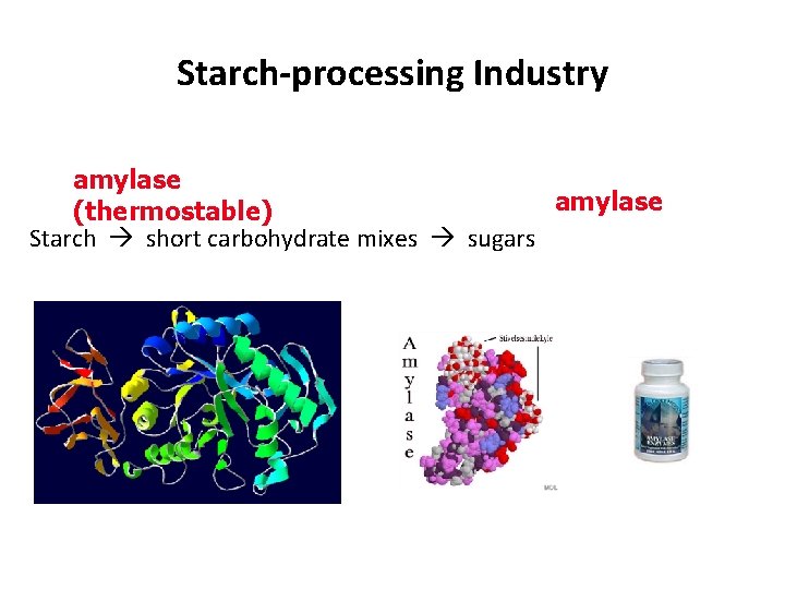 Starch-processing Industry amylase (thermostable) Starch short carbohydrate mixes sugars 