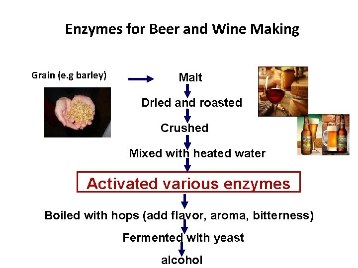 Enzymes for Beer and Wine Making Grain (e. g barley) Malt Dried and roasted