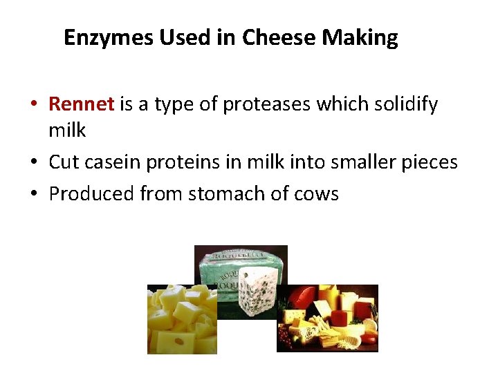 Enzymes Used in Cheese Making • Rennet is a type of proteases which solidify