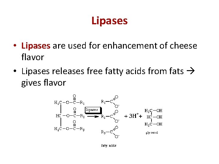 Lipases • Lipases are used for enhancement of cheese flavor • Lipases releases free