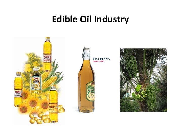 Edible Oil Industry 