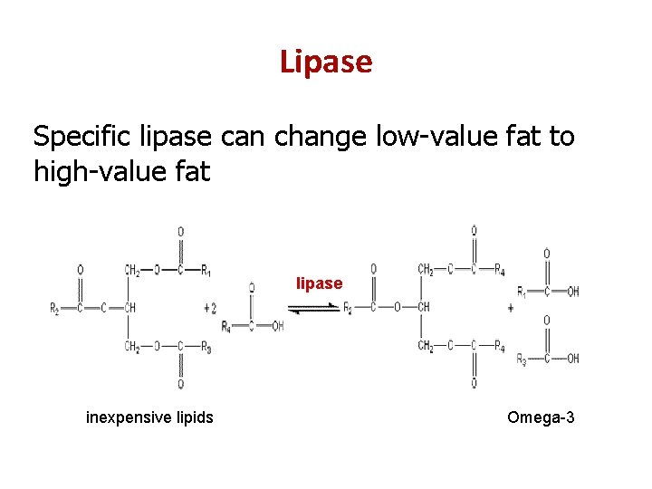Lipase Specific lipase can change low-value fat to high-value fat lipase inexpensive lipids Omega-3
