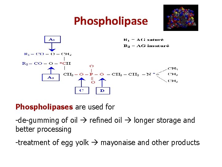 Phospholipases are used for -de-gumming of oil refined oil longer storage and better processing