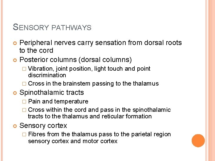 SENSORY PATHWAYS Peripheral nerves carry sensation from dorsal roots to the cord Posterior columns SENSORY PATHWAYS Peripheral nerves carry sensation from dorsal roots to the cord Posterior columns