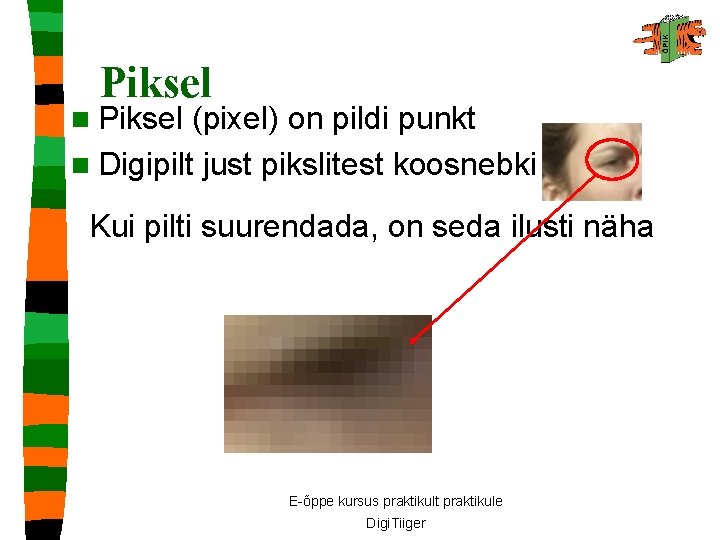Piksel n Piksel (pixel) on pildi punkt n Digipilt just pikslitest koosnebki Kui pilti