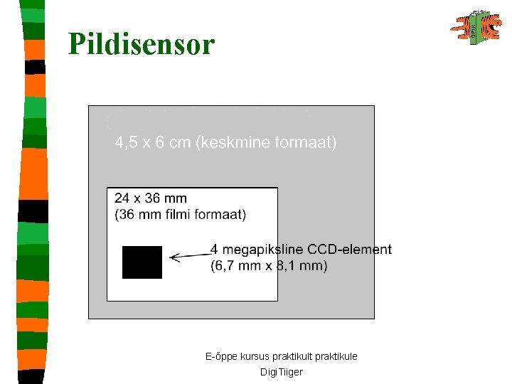 Pildisensor E-õppe kursus praktikult praktikule Digi. Tiiger 